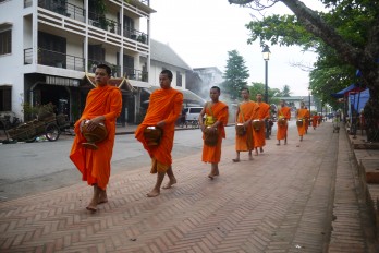 Alms Giving Procession In Luang Prabang, Laos