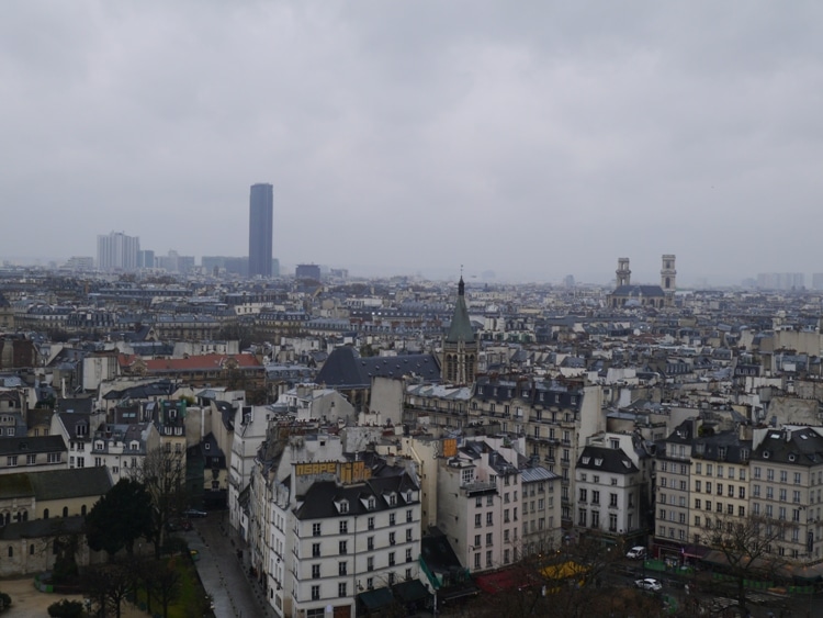 Montparnasse Tower, As Seen From The Towers Of Notre-Dame Cathedral