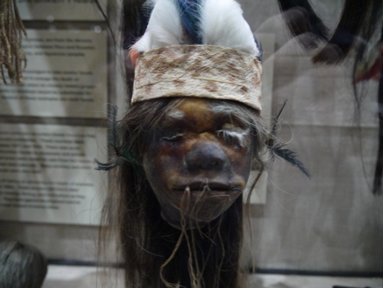 A Shrunken Head At Pitt Rivers Museum, Oxford