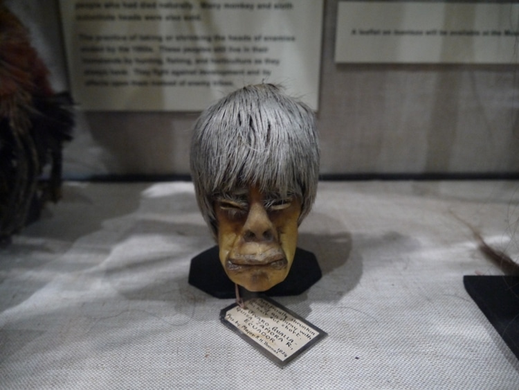 Shrunken Head At Pitt Rivers Museum, Oxford