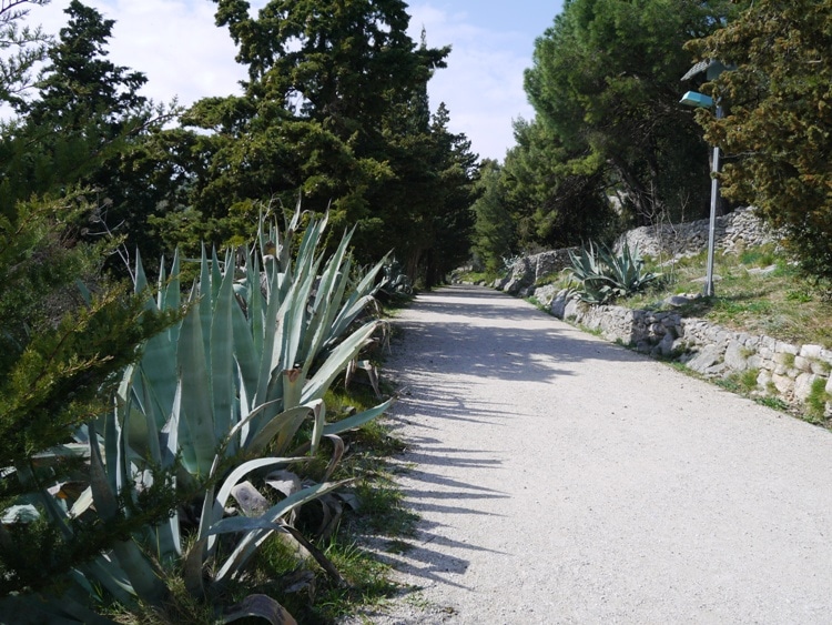 Footpath Up Marjan Hill, Split