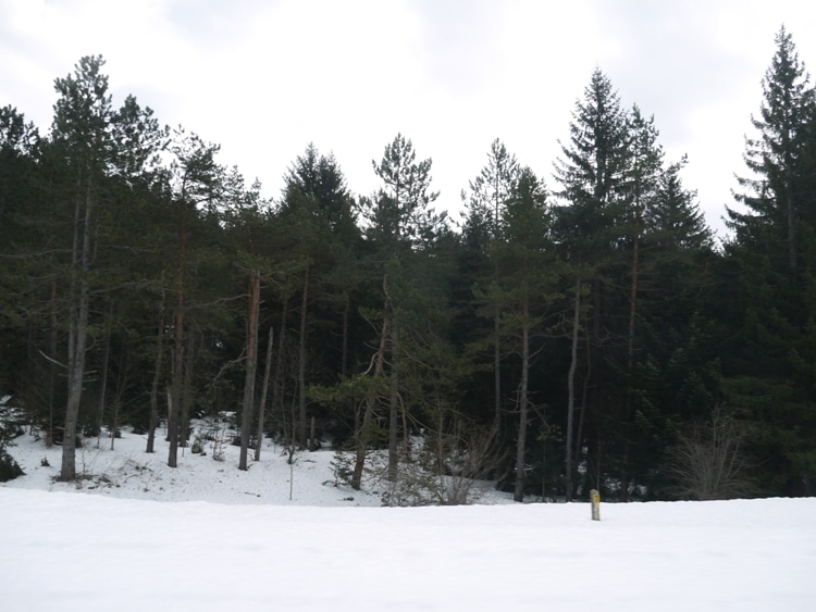 A Snowy Scene From Our Zagreb To Split Train Journey