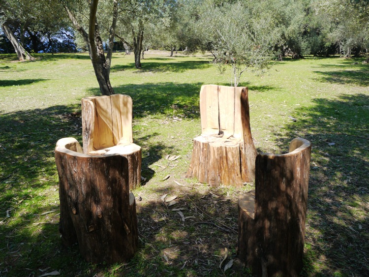 Seating For 4, Made From Tree Trunks, Lokrum Island
