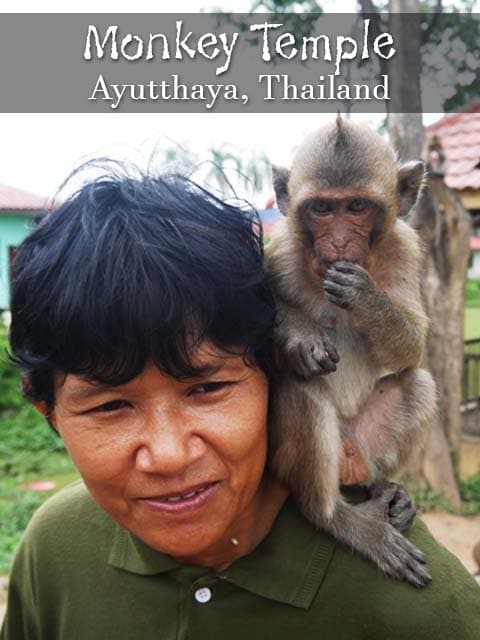 Monkey Temple, Ayutthaya, Thailand