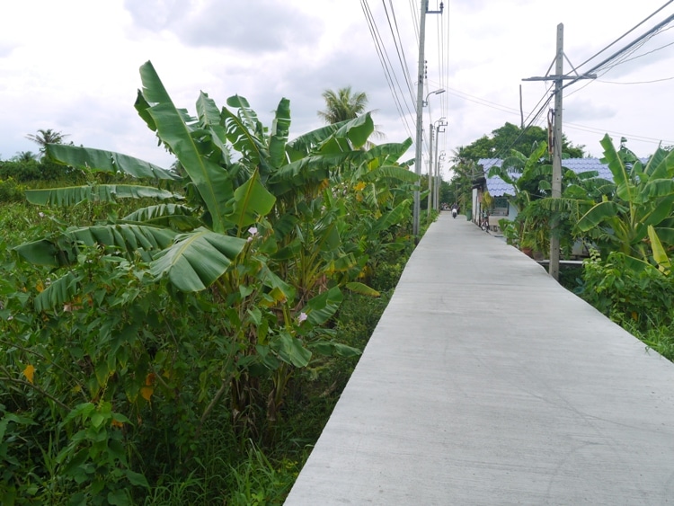 Raised Walkways On Ko Kret