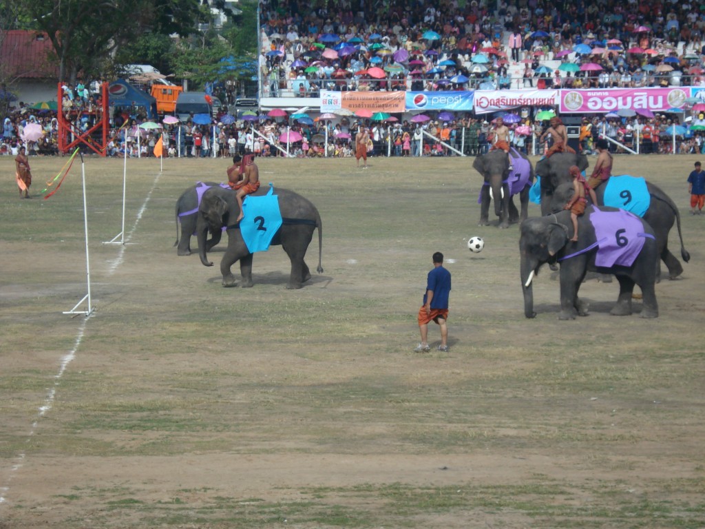 elephants playing footbal