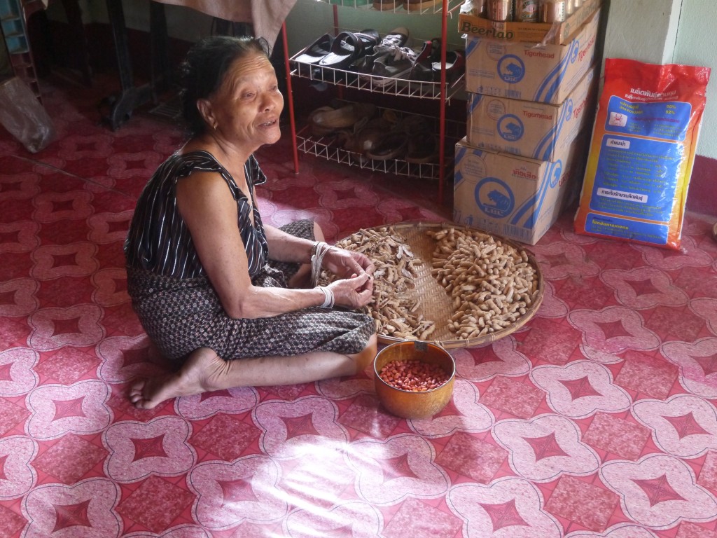 Woman Shelling Peanuts At Hill Tribe Village In Laos