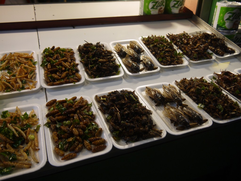 More Deep Fried Bugs at Chiang Rai Night Bazaar More Deep Fried Bugs at Chiang Rai Night Bazaar