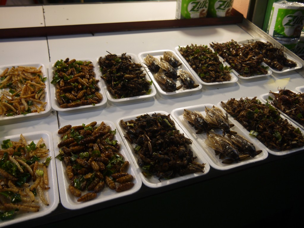 More Deep Fried Bugs at Chiang Rai Night Bazaar