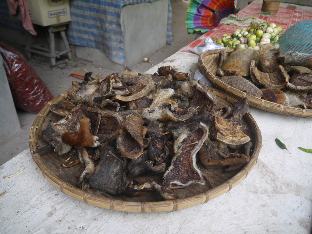 Buffalo Skin For Sale At Pakbeng Market, Laos Buffalo Skin For Sale At Pakbeng Market, Laos