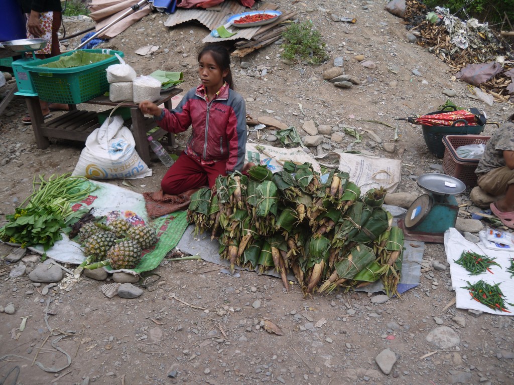 Girl Selling Bamboo Shoots At Pakbeng Market In Laos Girl Selling Bamboo Shoots At Pakbeng Market In Laos