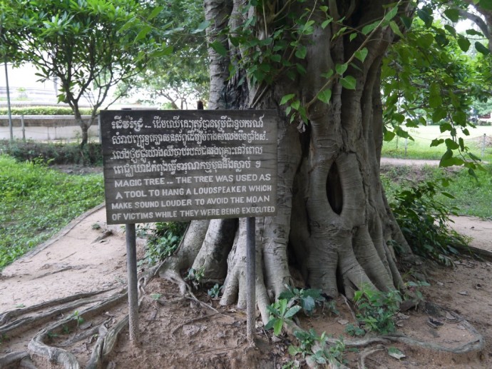 The Magic Tree The Magic Tree