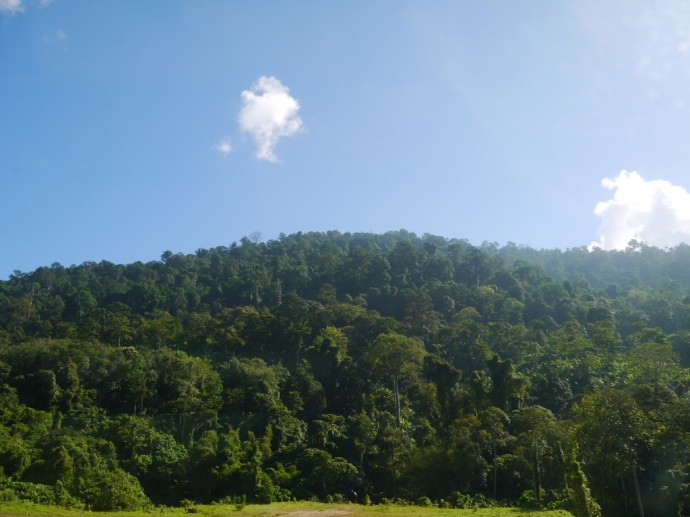 Beautiful Malaysian Countryside