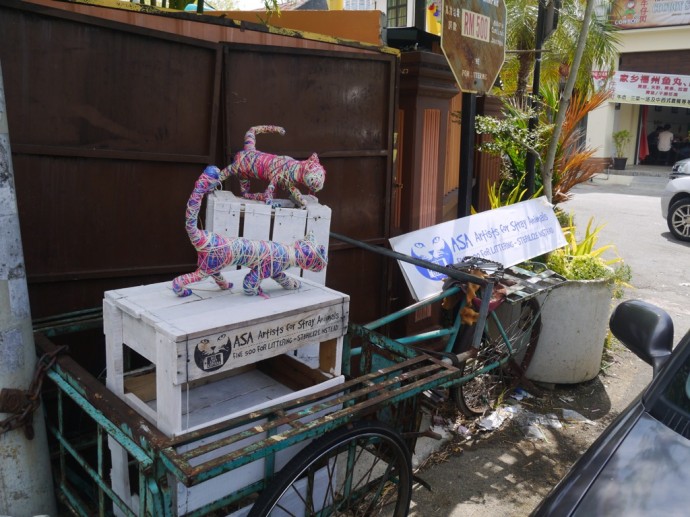 Cats On Wooden Crates