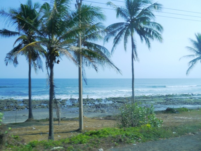 View From Denpasar To Gilimanuk Bus