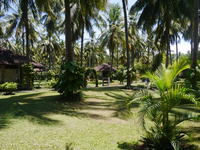 The Stunning Grounds Of Ketapang Indah Hotel