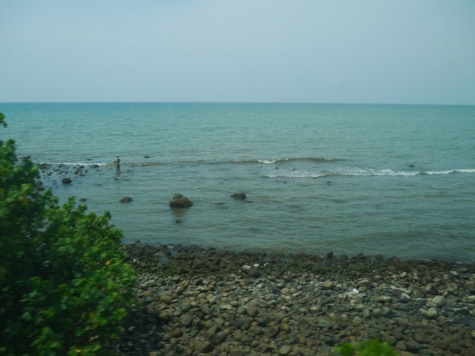 View From Our Train View From Our Train