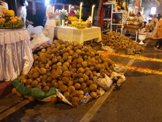 Coconuts Ready To Be Smashed