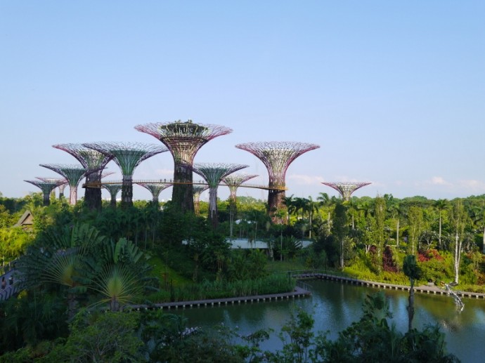 Supertrees, Singapore