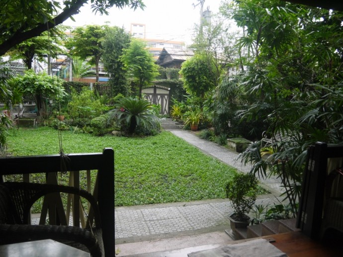 Garden View From Terrace