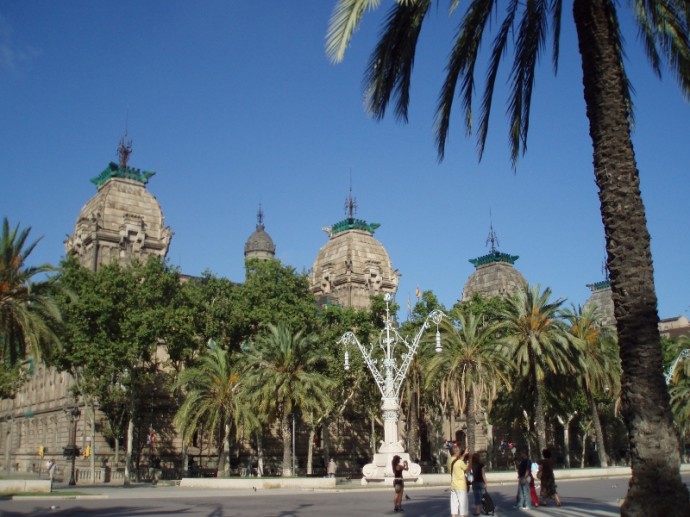 Blue Sky, Palm Trees And Awesome Buildings