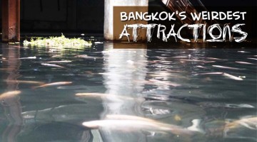 Bangkok's Weirdest Attractions