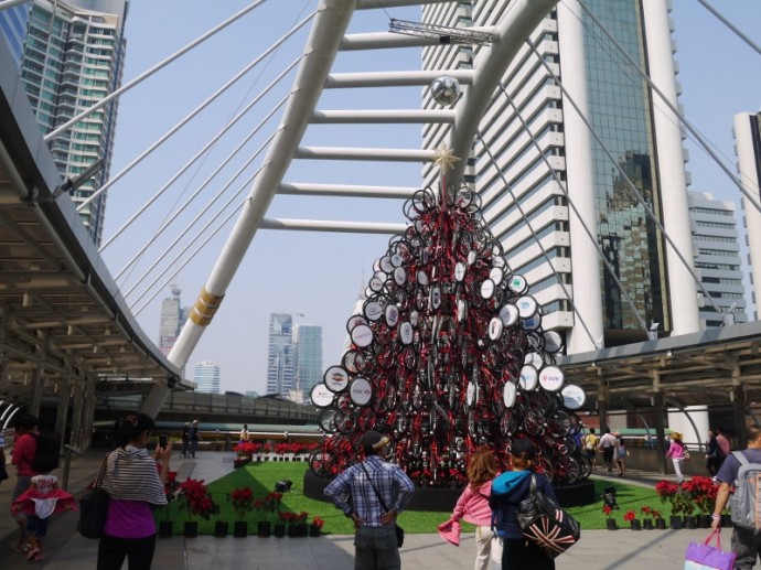Taking Photos Of Bangkok's Bicycle Tree