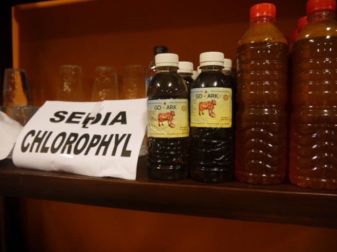 Chlorophyll or Cow Urine? Chlorophyll or Cow Urine?