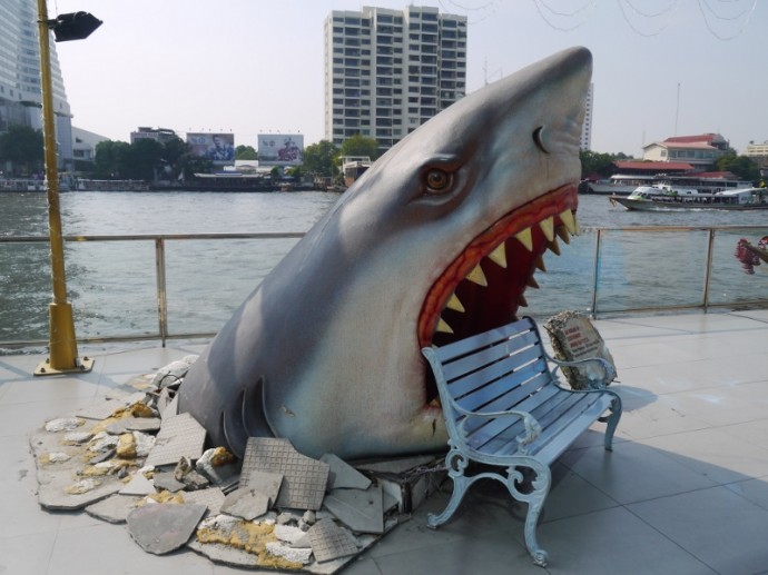 Bangkok's Famous Shark