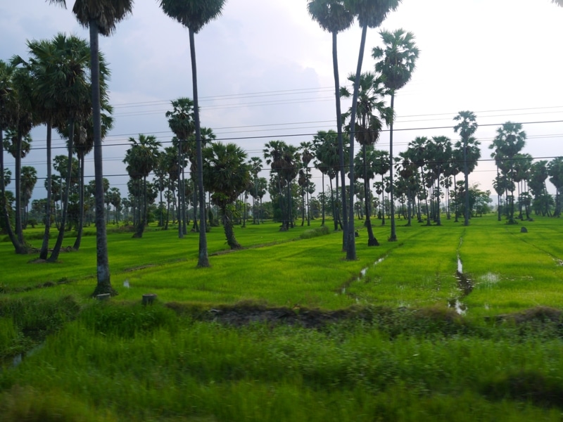 Typical Scene From Train Journey