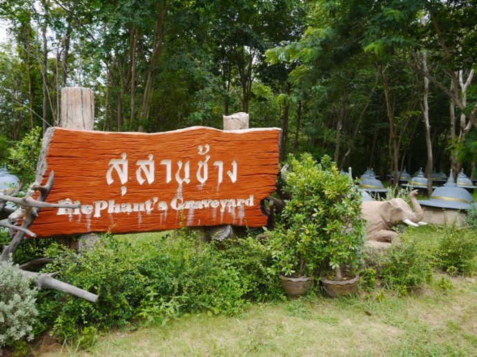 Elephant Graveyard Sign, Surin Province