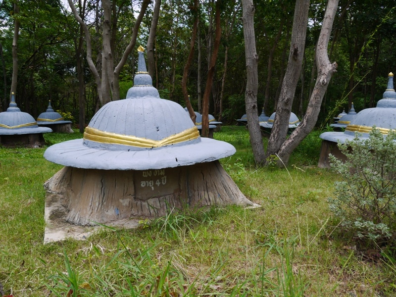 Elephant Graveyard At Ban Ta Klang Elephant Village, Thailand