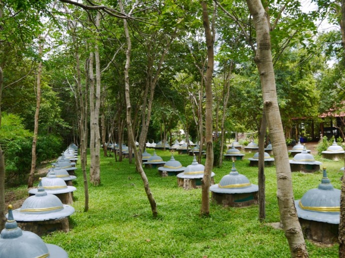 Elephant Graveyard At Wat Pa Arjiang