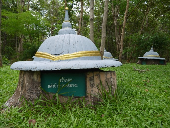 One Of The Many Graves At The Elephant Cemetery