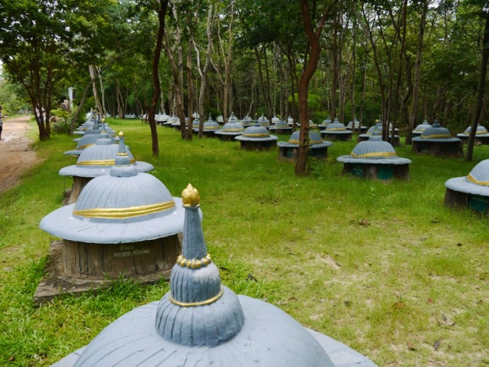 Elephant Graveyard At Ban Ta Klang, Surin, Thailand