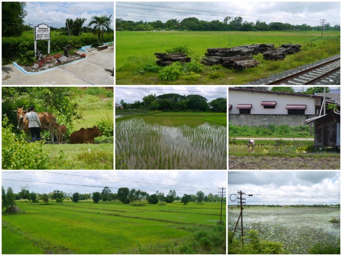 View From Khon Kaen To Udon Thani Train