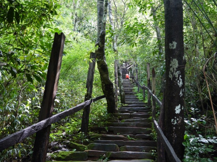 Stone Steps At Wat Phu Tok