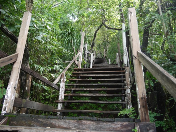 First Set Of Wooden Stairs At Wat Phu Tok