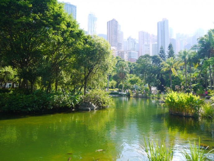 The Lake In Hong Kong Park