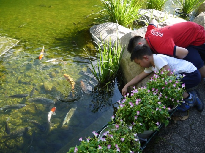 Children Playing At The Lake In Hong Kong Park