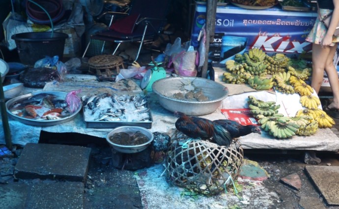 Live Chickens At Khua Din Market, Vientiane