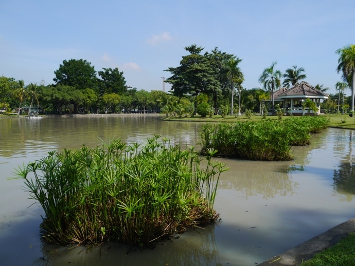 Bangkok parks, Chatuchak Park