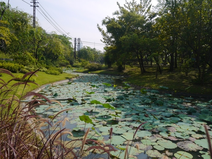 Bangkok parks, Queen Sirikit Park 