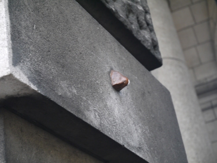 The Nose At Admiralty Arch