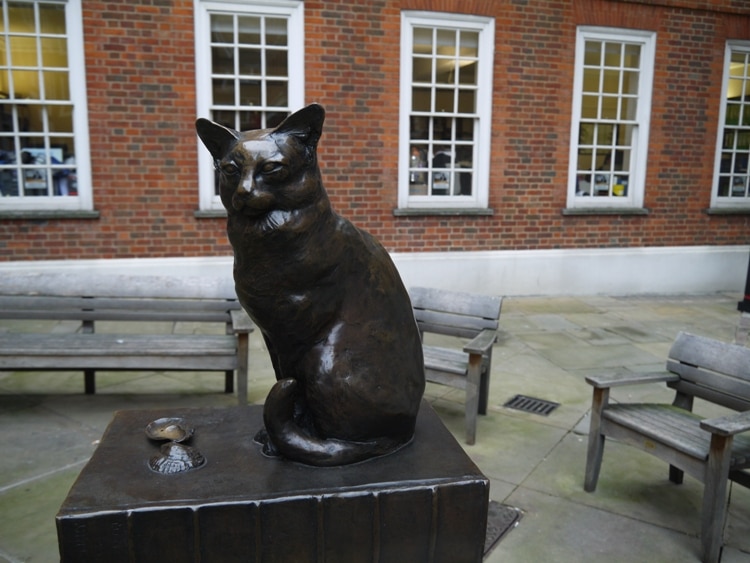 Samuel Johnson's Cat, Hodge At Gough Square, London