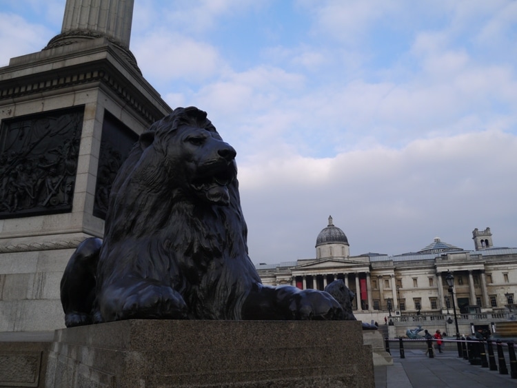 One Of The Lion Statues At Trafalgar Square
