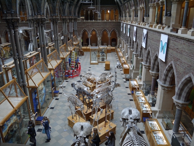 Oxford University Museum Of Natural History