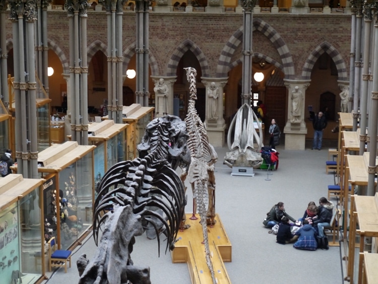 Children Working At Oxford University Museum Of Natural History