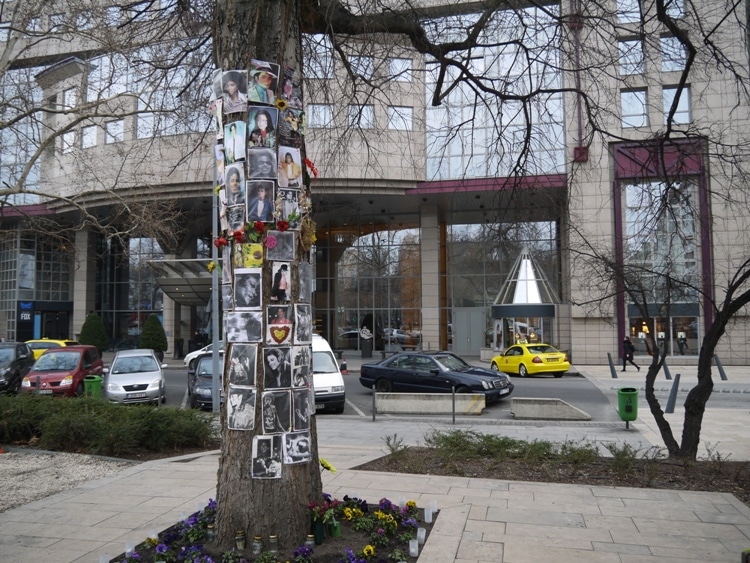 Michael Jackson Memorial Tree, Budapest