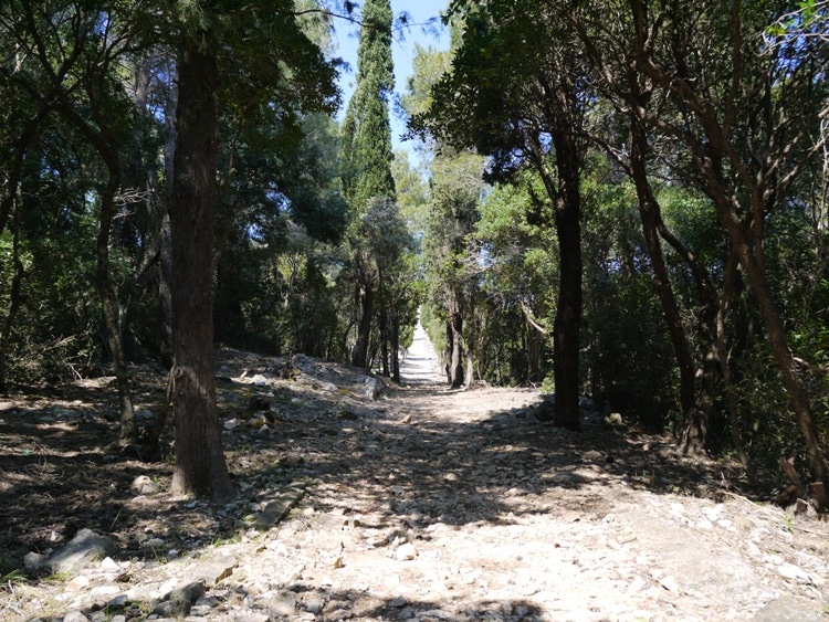 The Path Leading To Fort Royal Castle